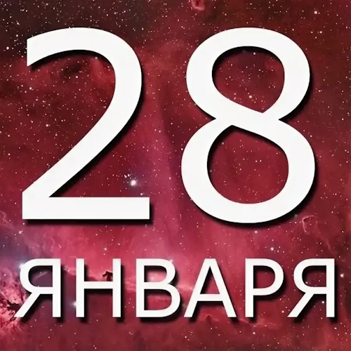 Сколько осталось дней до 28 января 2025