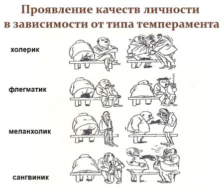 Онлайн тест темперамента личности