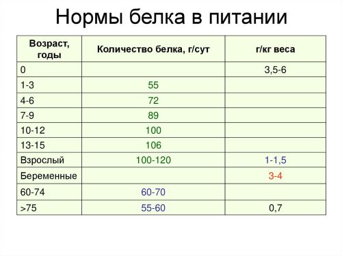 Суточная норма белков