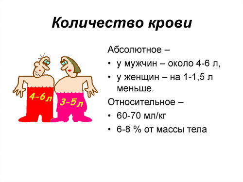 Сколько литров крови в человеке.