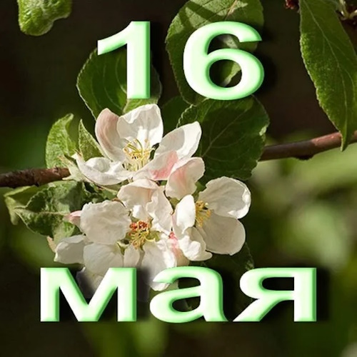 Сколько осталось дней до 16 мая 2026 Сколько осталось дней до 16 мая 2026